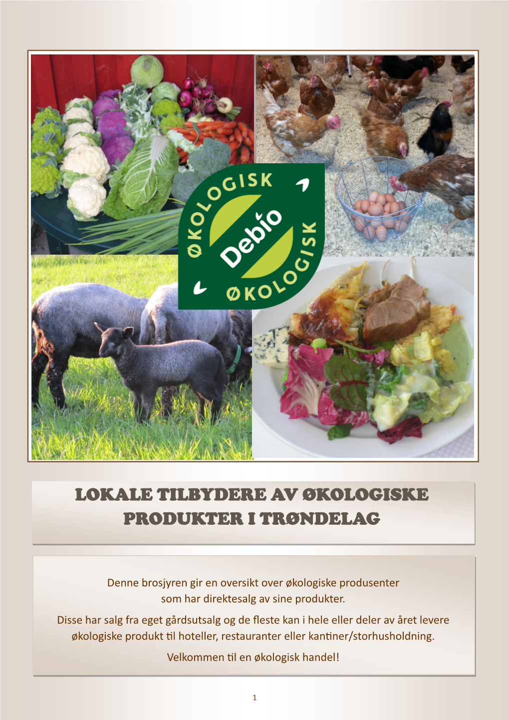 Lokale Tilbydere Av Økologiske Produkter I Trøndelag