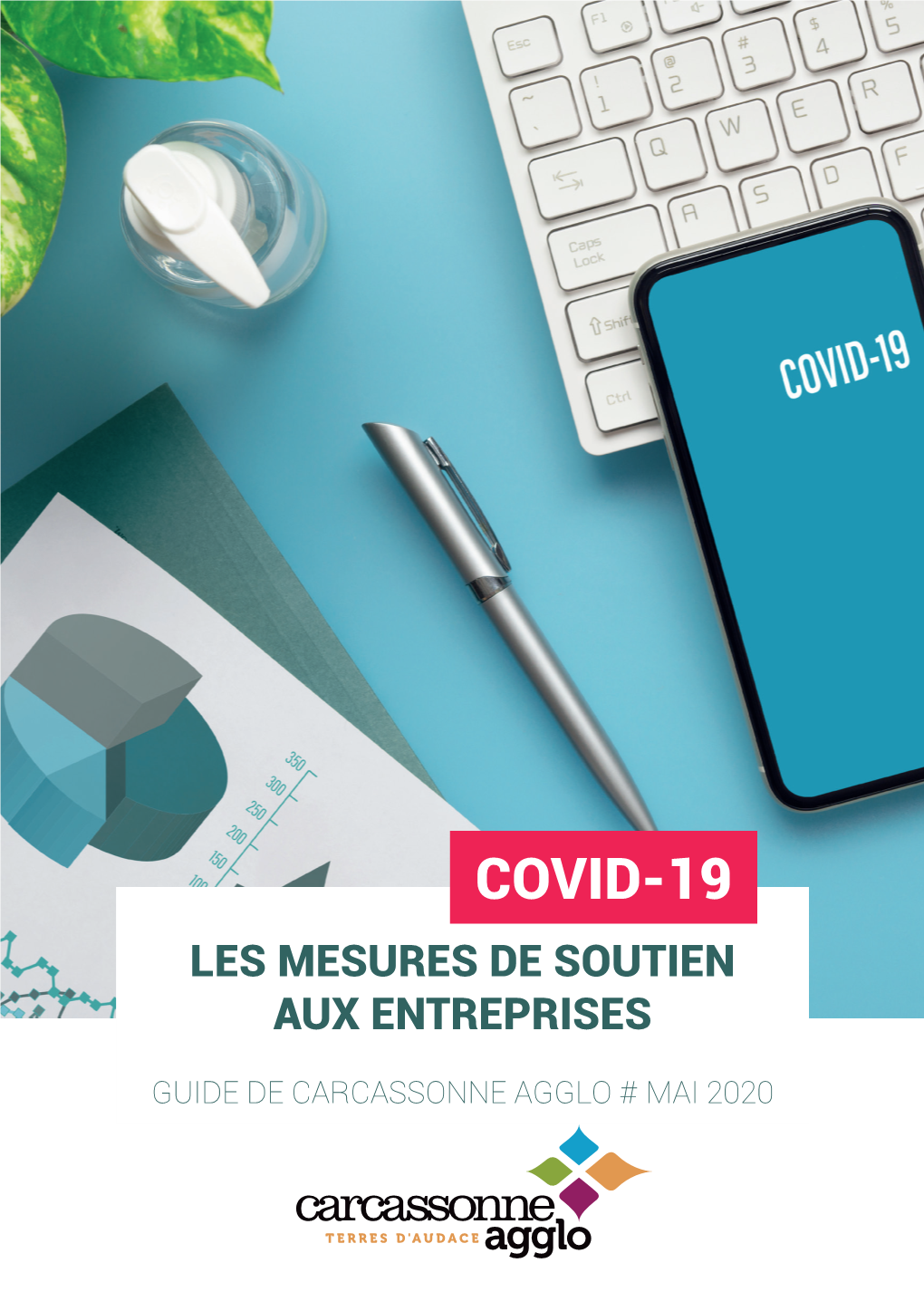 Covid-19 Les Mesures De Soutien Aux Entreprises