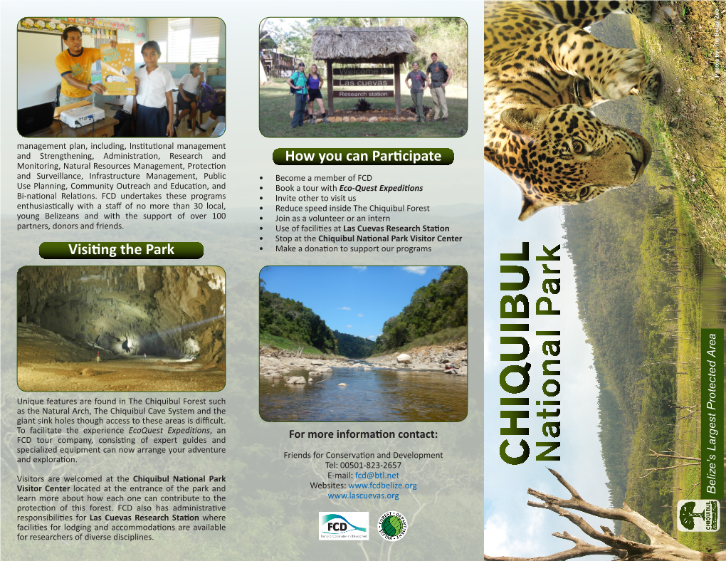 Chiquibul National Park Jaguar Brochure 2019