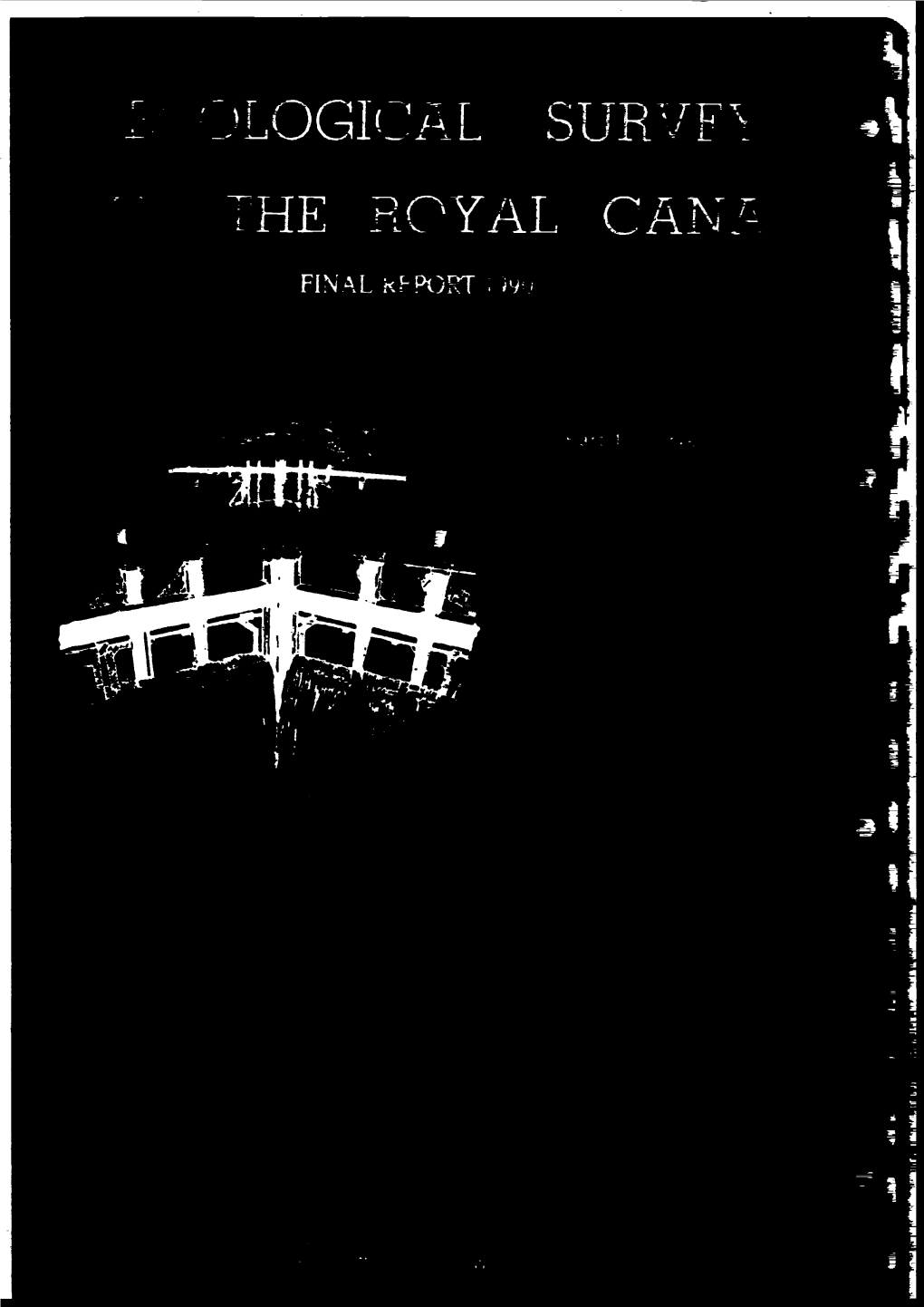 Ecological Survey of the Royal Canal 1989