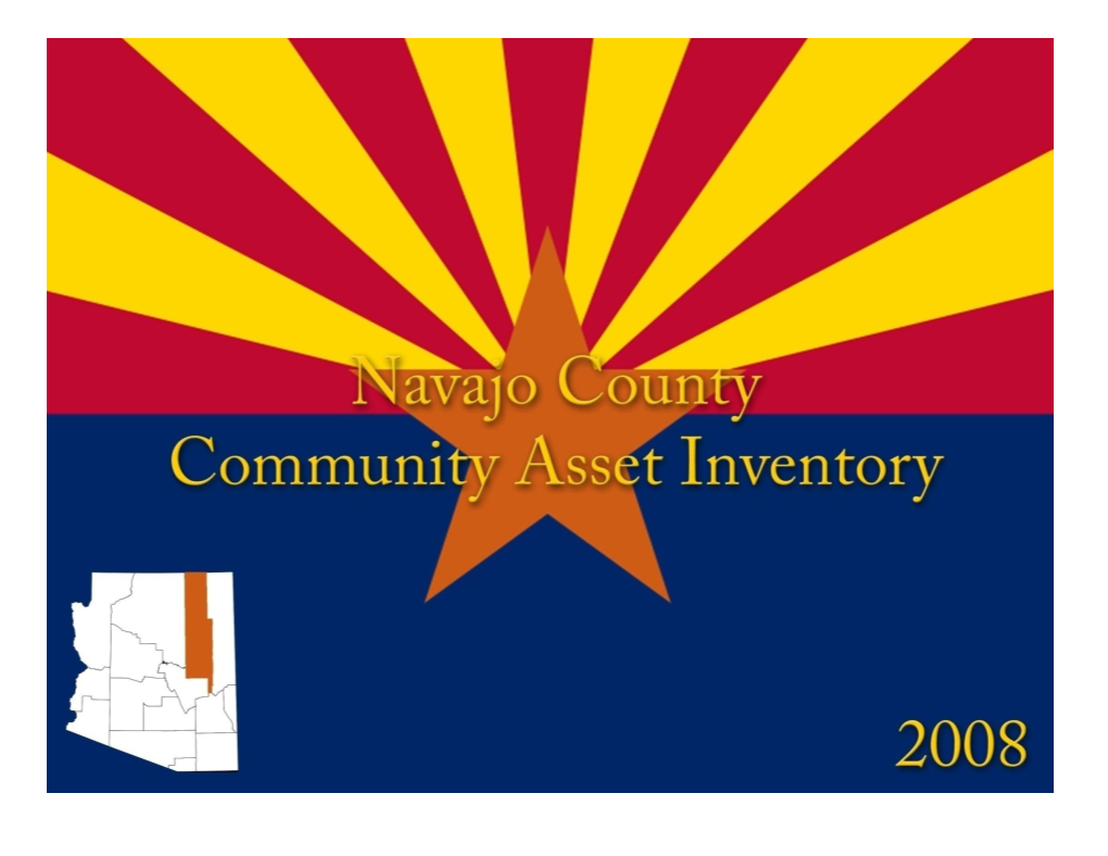 Navajo County Asset Inventory 2008