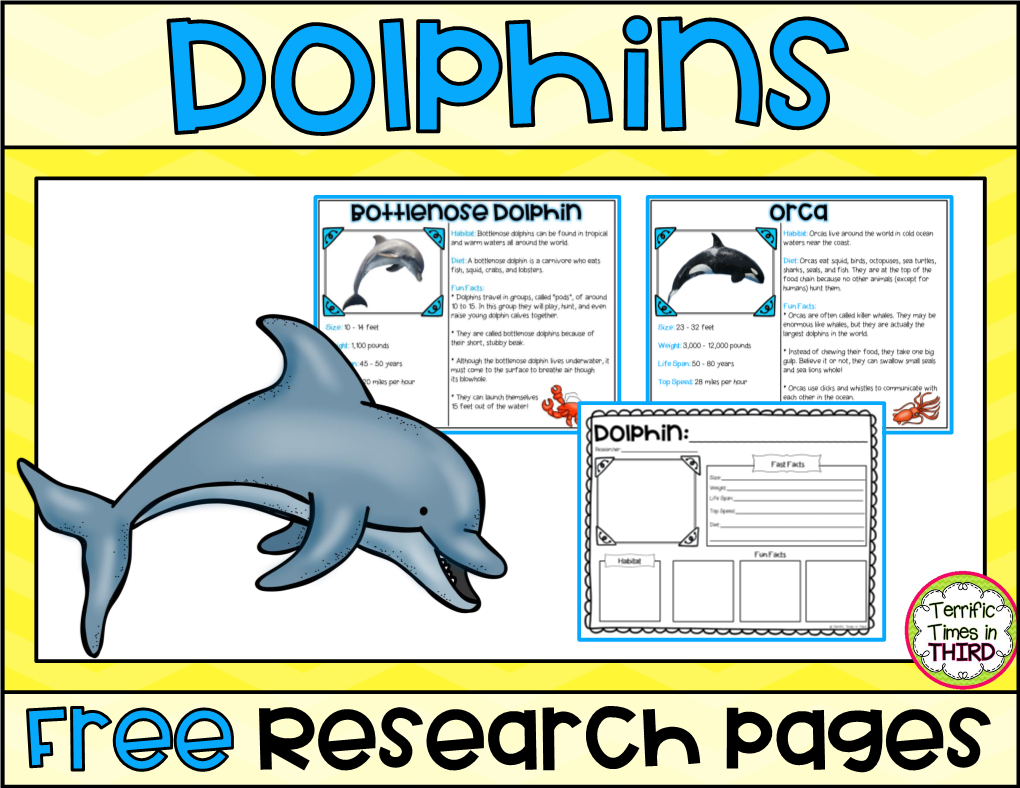 Research Pages Thank You for Downloading Dolphin Research Pages by Terrific Times in Third