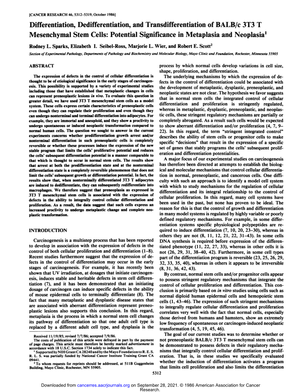 Differentiation, Dedifferentiation, and Transdifferentiation of BALB/C 3T3 T Mesenchymal Stem Cells: Potential Significance in Metaplasia and Neoplasia1