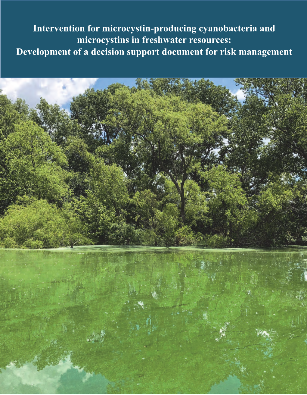 Intervention for Microcystin-Producing Cyanobacteria and Microcystins in Freshwater Resources: Development of a Decision Support Document for Risk Management