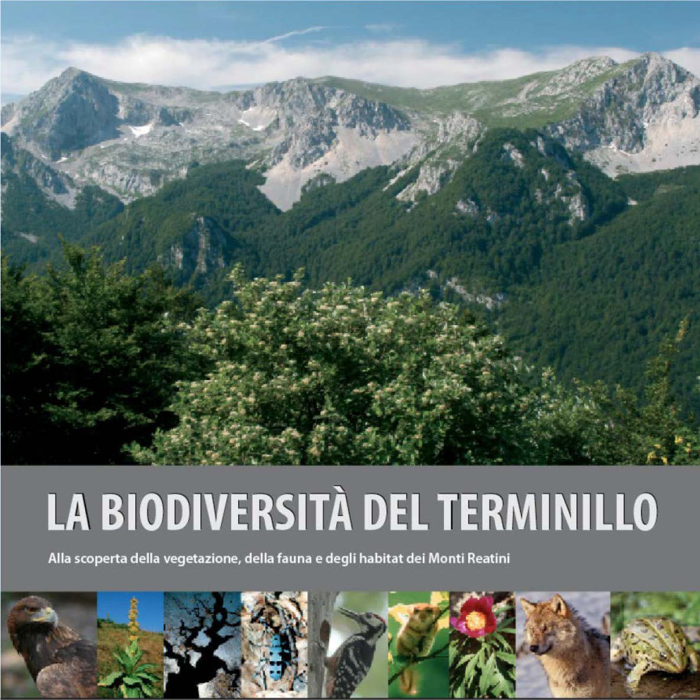 La Biodiversità Del Terminillo Alla Scoperta Della Vegetazione, Della Fauna E Degli Habitat Dei Monti Reatini