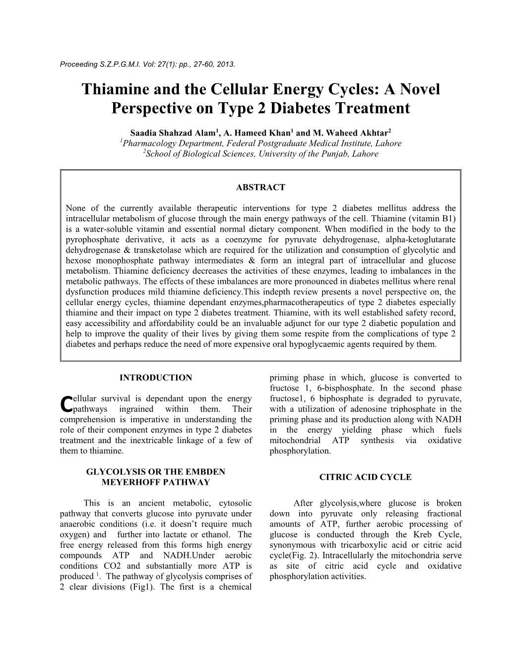 Thiamine and the Cellular Energy Cycles: a Novel Perspective on Type 2 Diabetes Treatment