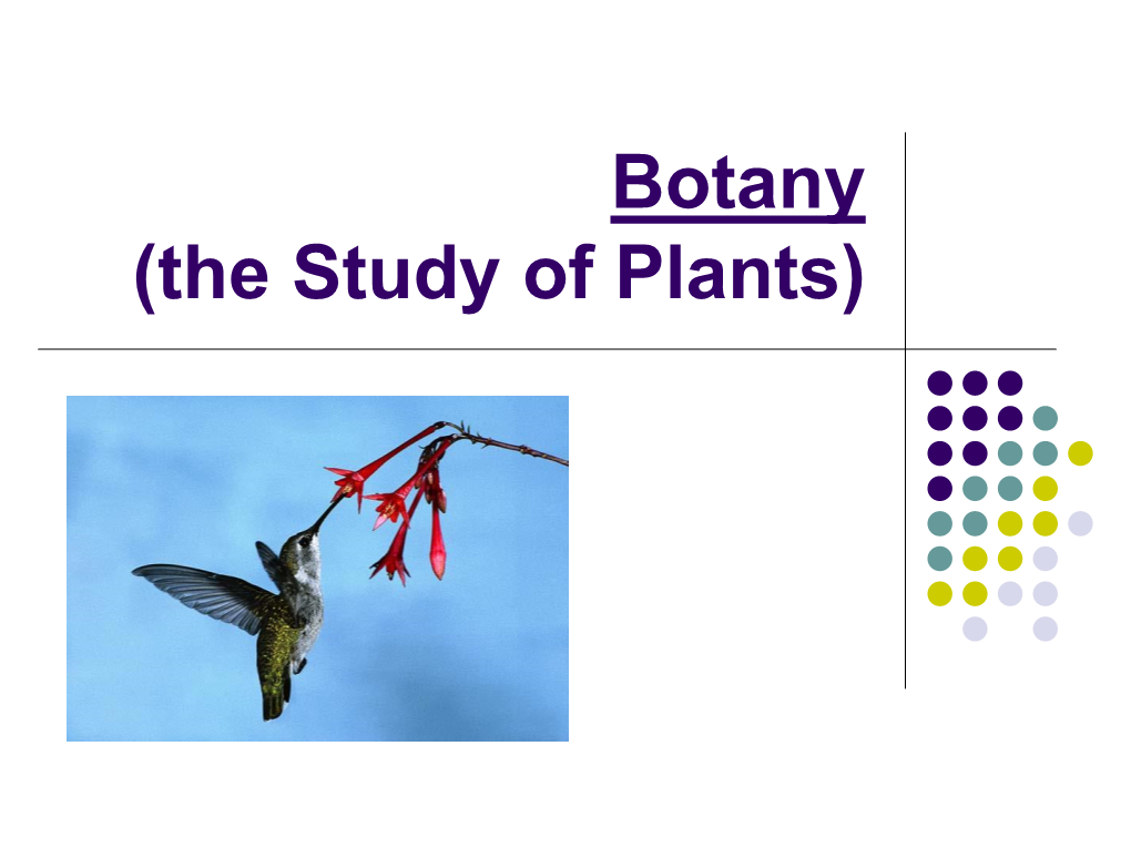 Seedless Vascular Plants (Spores)  Seed (Vascular) Plants