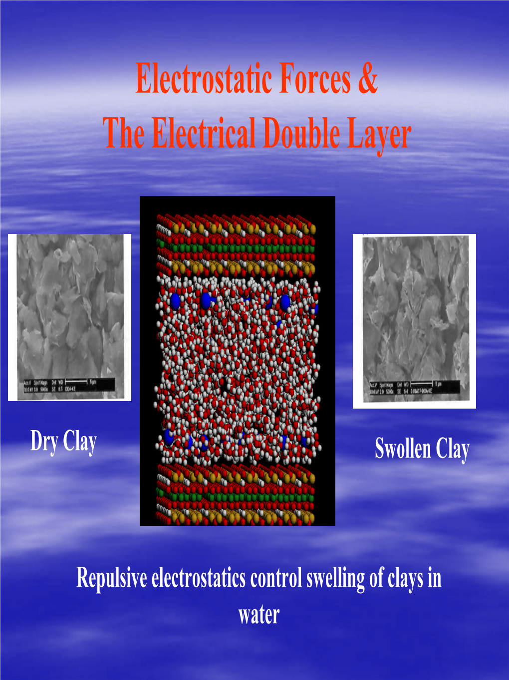 Electrostatic Forces & the Electrical Double Layer