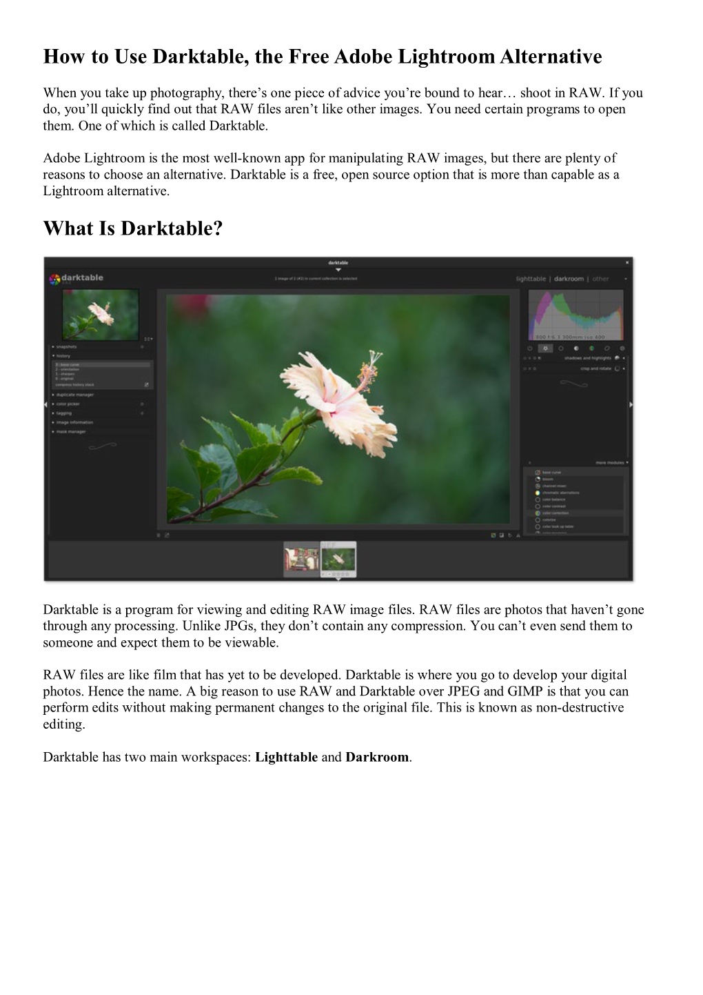 What Is Darktable?