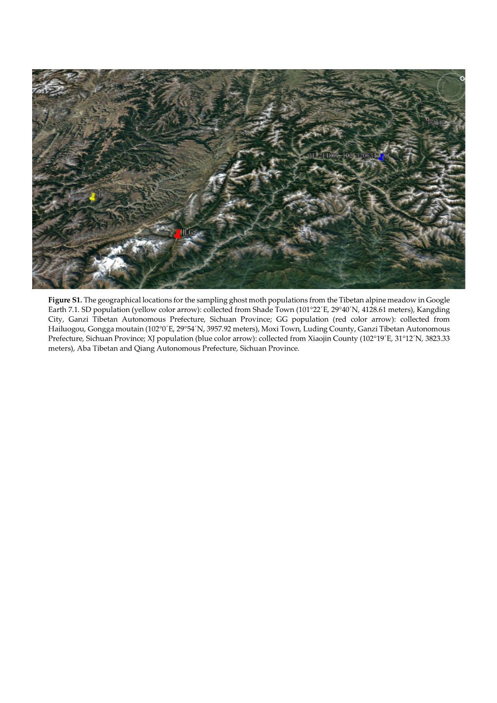 Figure S1. the Geographical Locations for the Sampling Ghost Moth Populations from the Tibetan Alpine Meadow in Google Earth 7.1