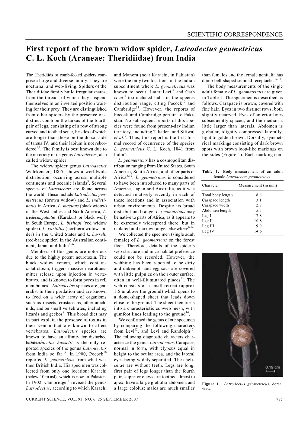 First Report of the Brown Widow Spider, Latrodectus Geometricus C. L. Koch (Araneae: Theridiidae) from India