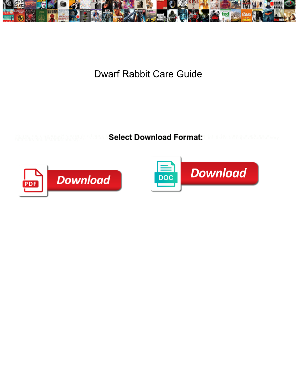 Dwarf Rabbit Care Guide