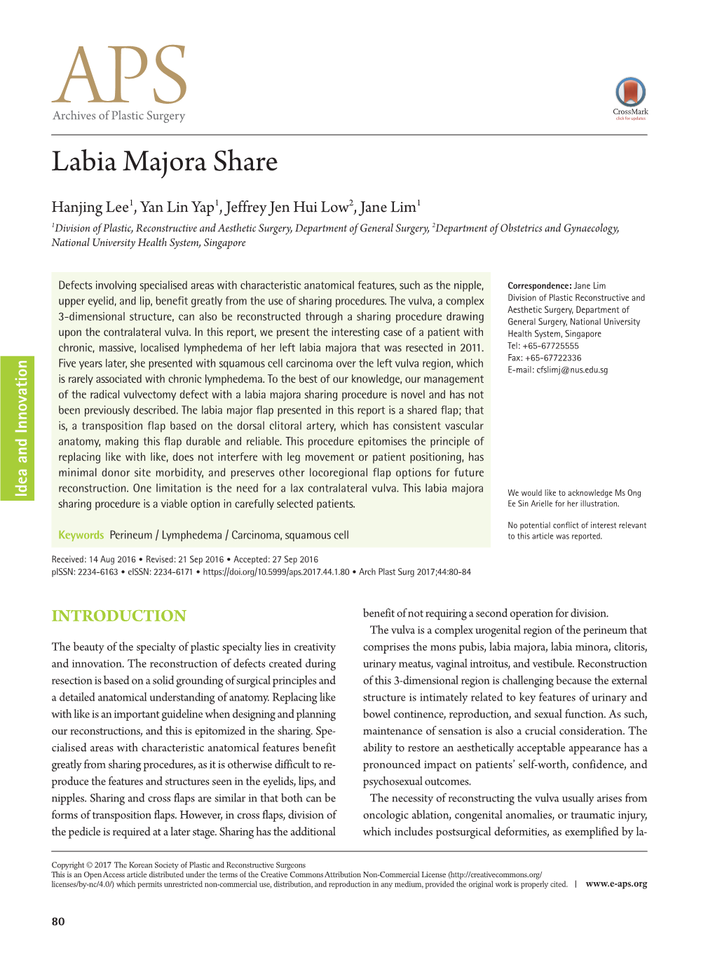 Labia Majora Share