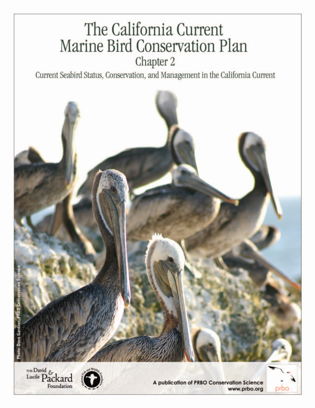 The California Current Marine Bird Conservation Plan Chapter 2