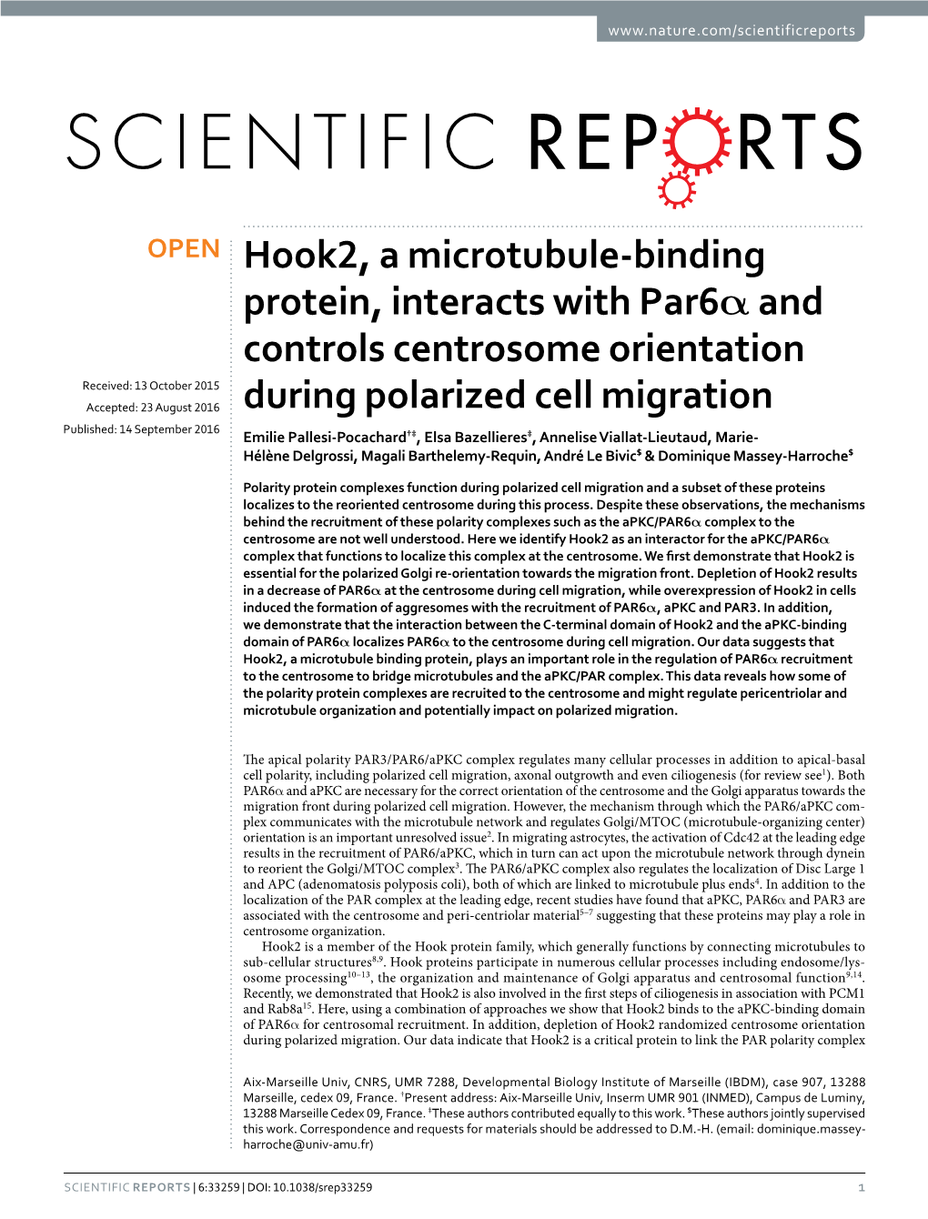 Hook2, a Microtubule-Binding Protein, Interacts with Par6α and Controls