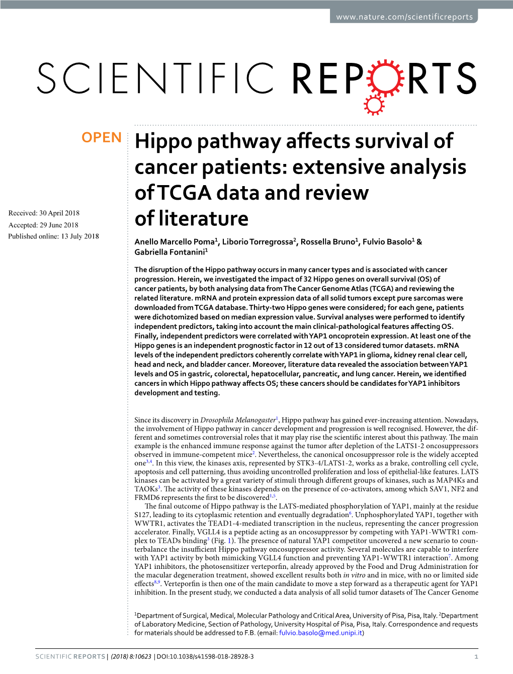 Hippo Pathway Affects Survival of Cancer Patients