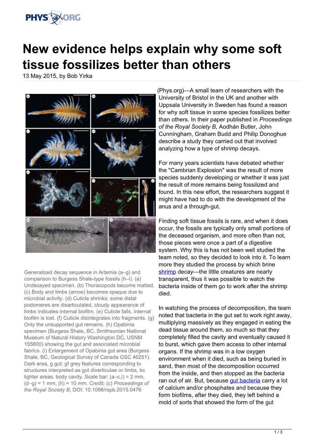 New Evidence Helps Explain Why Some Soft Tissue Fossilizes Better Than Others 13 May 2015, by Bob Yirka