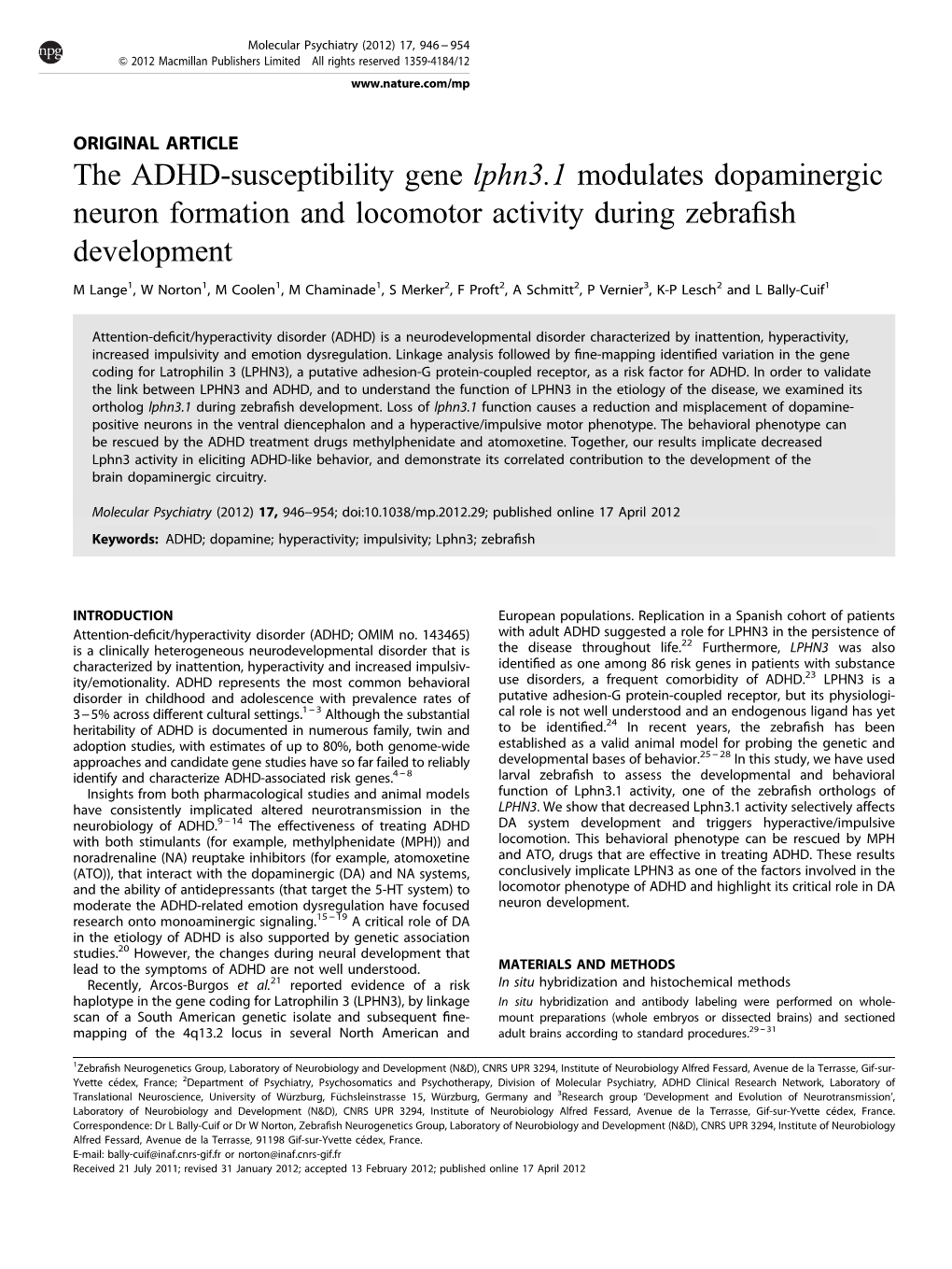 The ADHD-Susceptibility Gene Lphn3.1 Modulates Dopaminergic Neuron Formation and Locomotor Activity During Zebraﬁsh Development