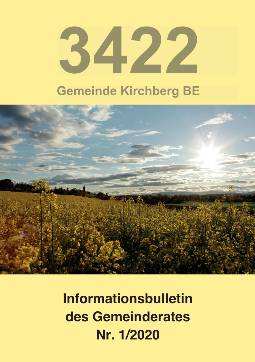 Informationsbulletin Des Gemeinderates Nr. 1/2020