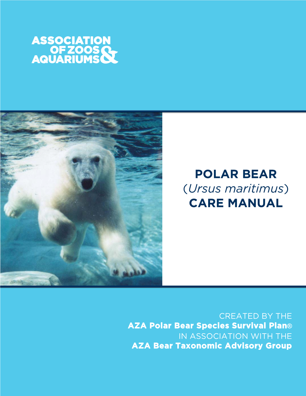 Polar Bear (Ursus Maritimus) Care Manual