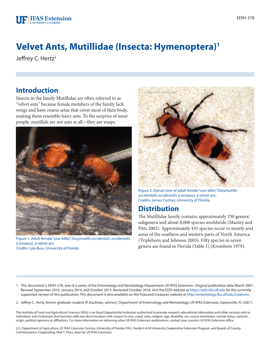 Velvet Ants, Mutillidae (Insecta: Hymenoptera)1 Jeffrey C