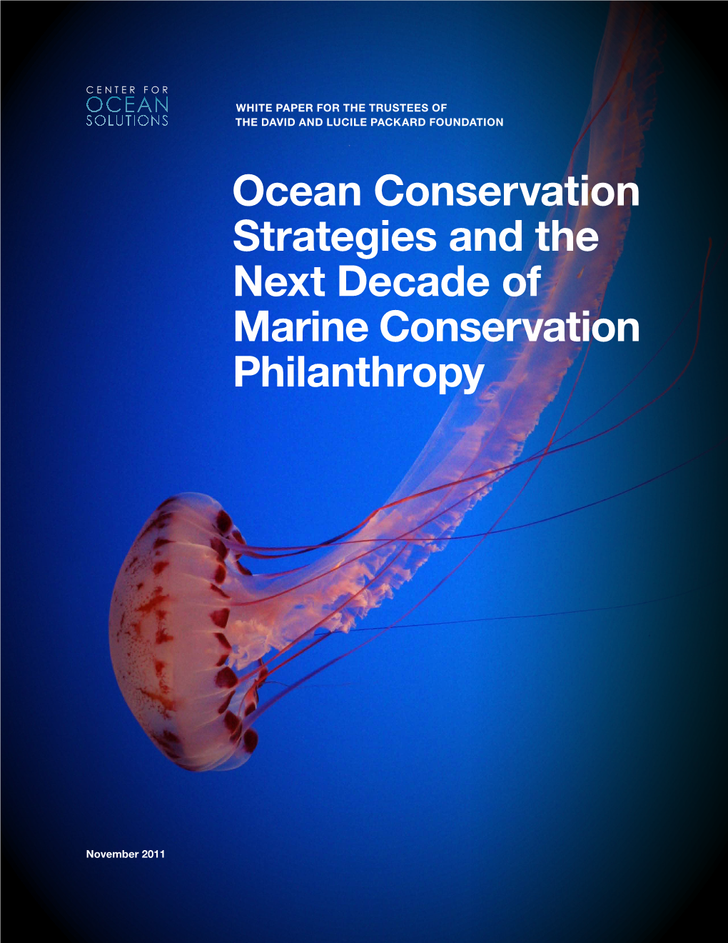 Ocean Conservation Strategies and the Next Decade of Marine Conservation Philanthropy