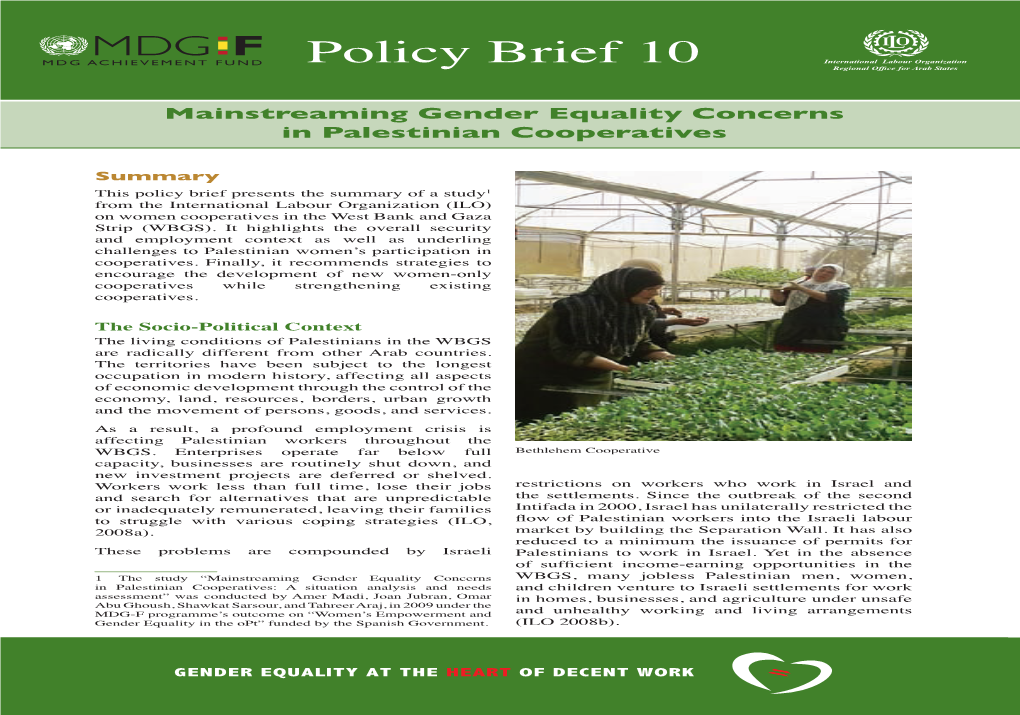 Policy Brief 10