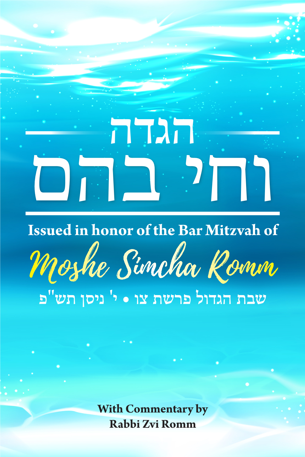 Moshe Simcha Romm שבת הגדול פרשת צו • י' ניסן תש"פ