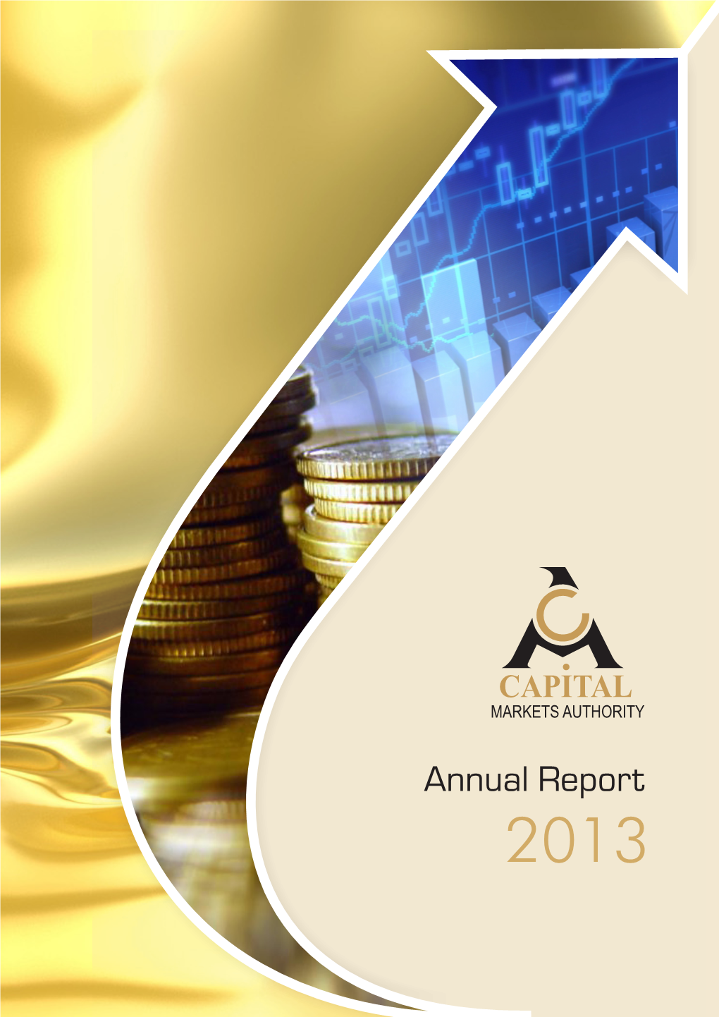 Annual Report 2013