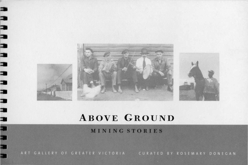 ABOVE GROUND Above Ground