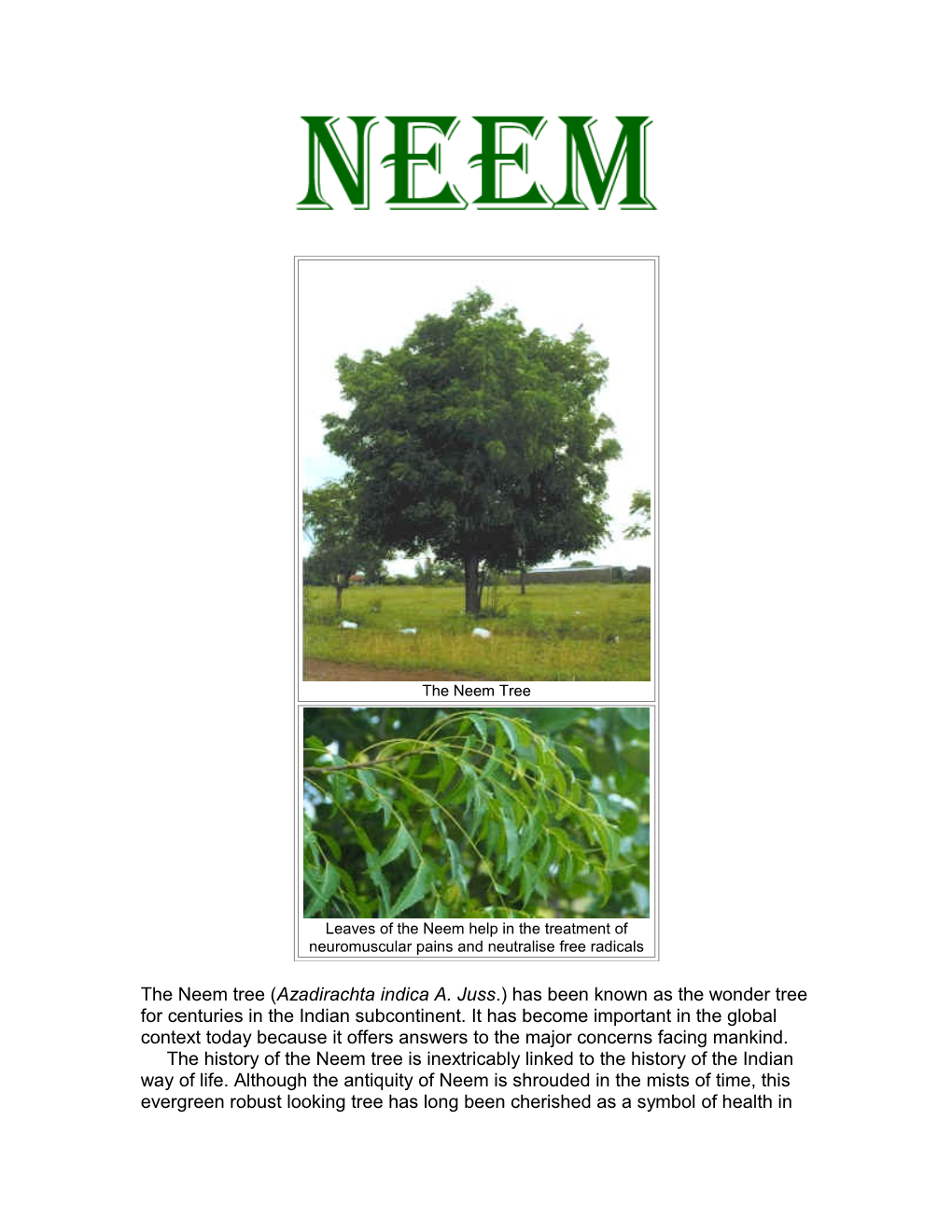 The Neem Tree (Azadirachta Indica A