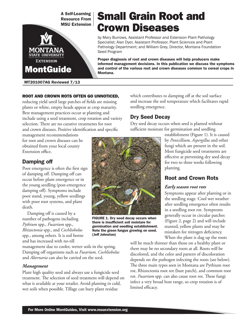 Small Grain Root and Crown Diseases