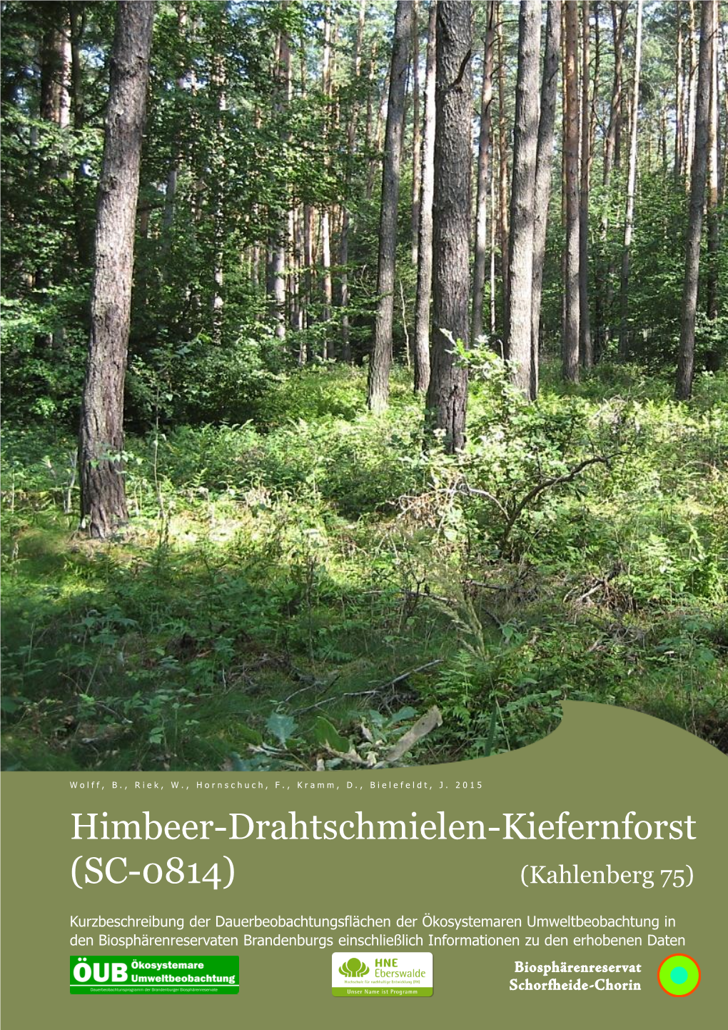 Himbeer-Drahtschmielen-Kiefernforst (SC-0814) (Kahlenberg 75)