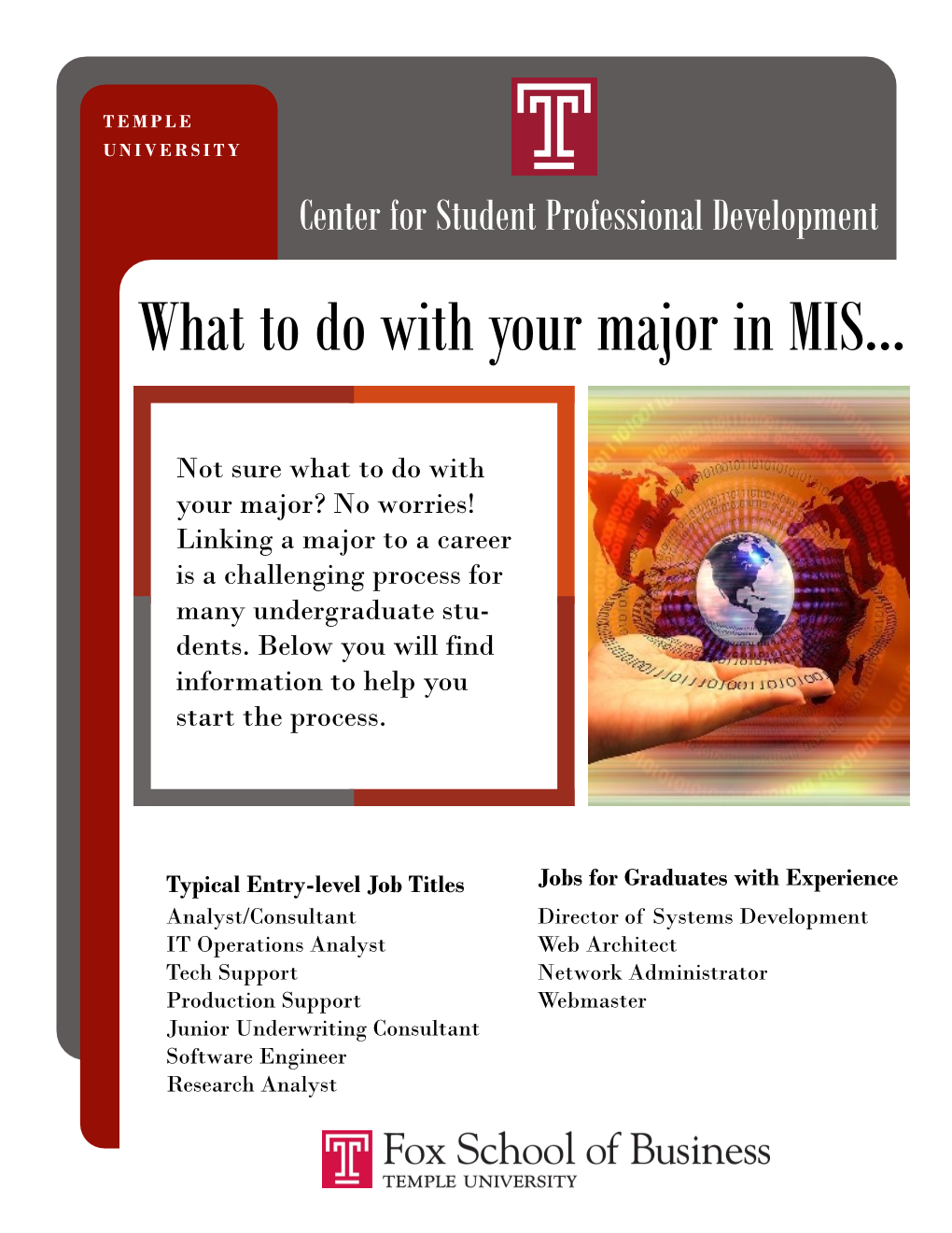 What to Do with Your Major in MIS