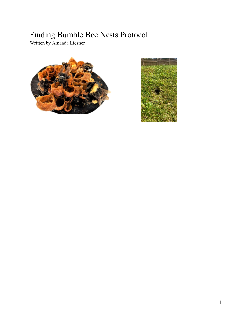 Finding Bumble Bee Nests Protocol Written by Amanda Liczner