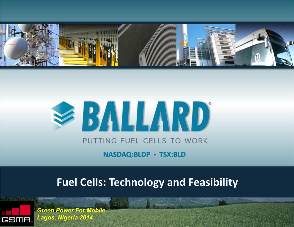 Fuel Cells: Technology and Feasibility