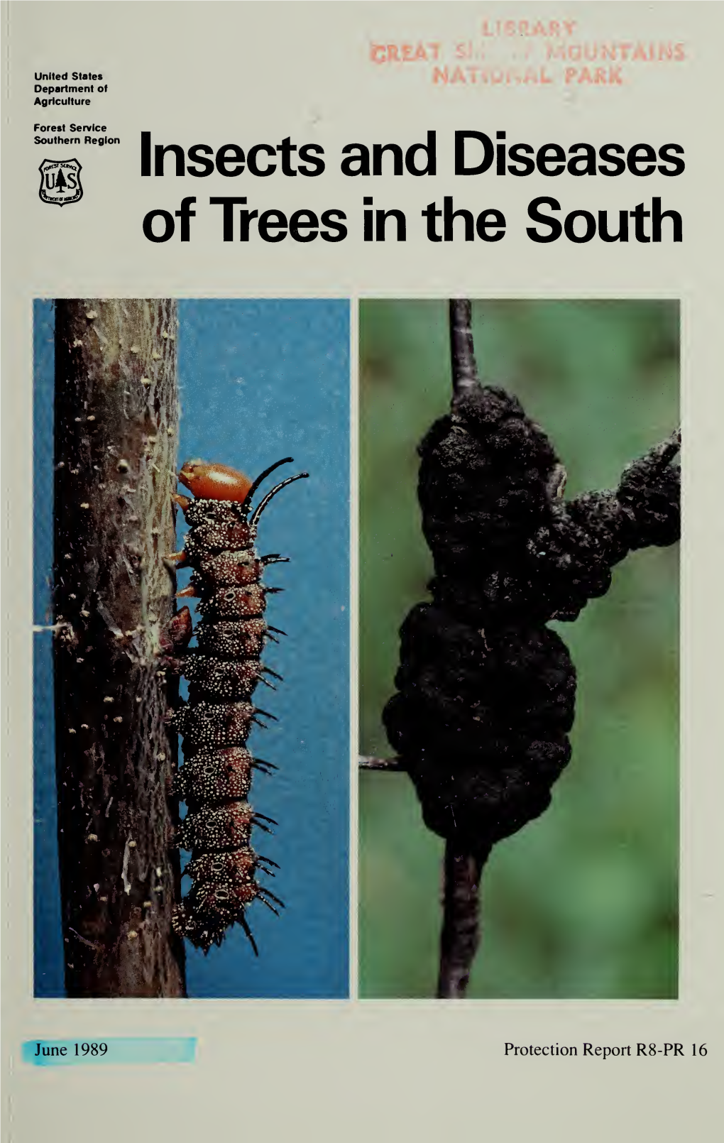 Insects and Diseases of Trees in the South