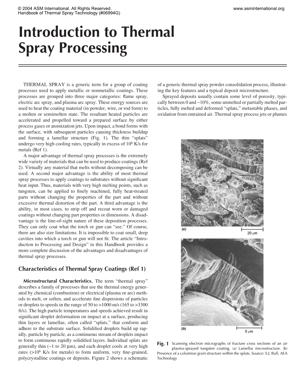 Introduction to Thermal Spray Processing