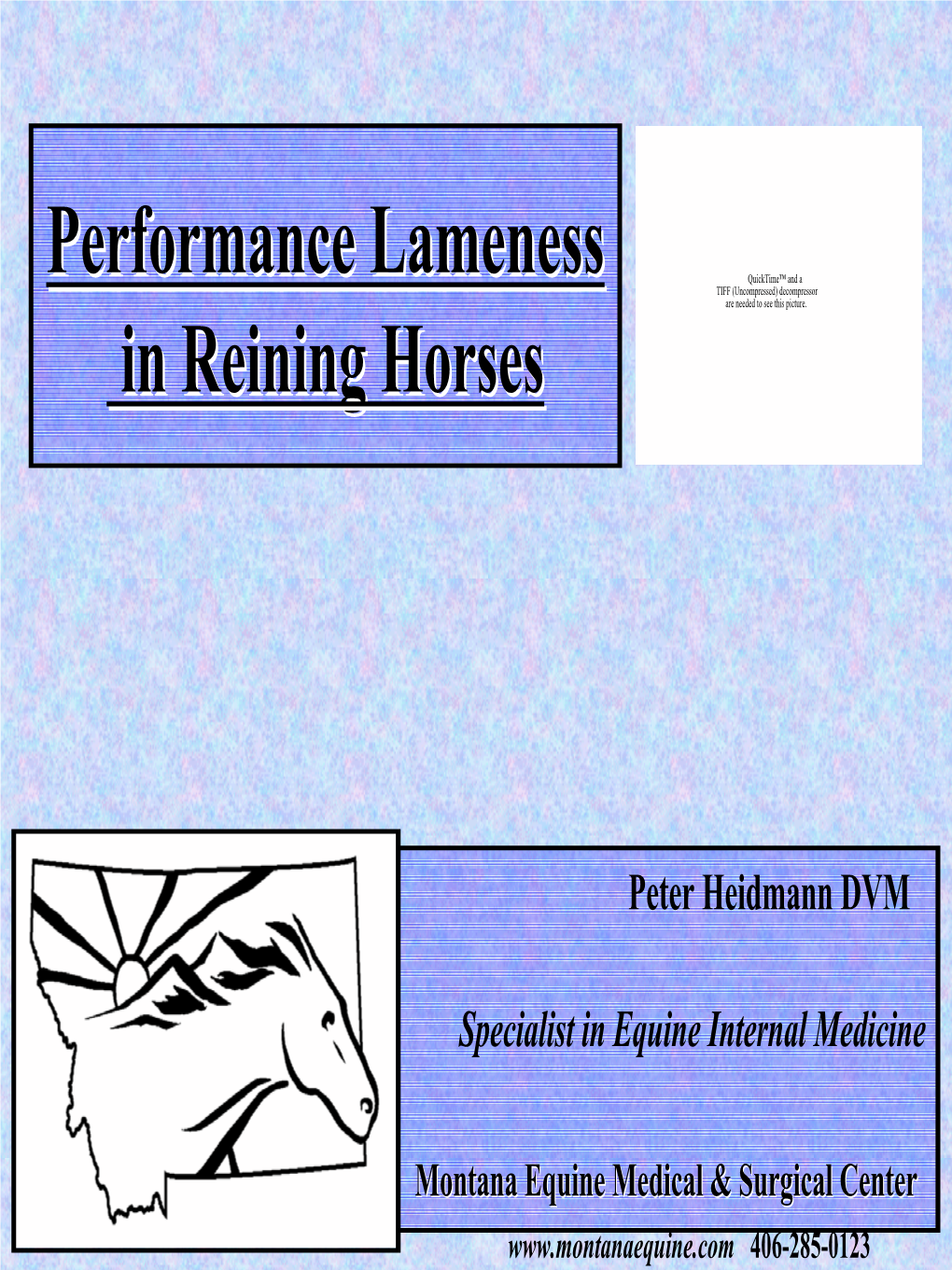 Performance Lameness in Reining Horses