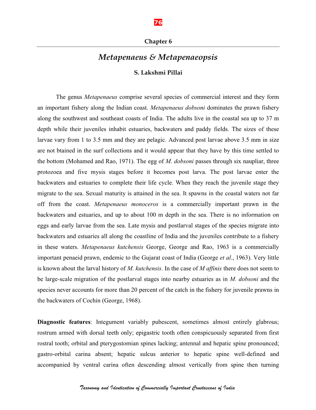 Metapenaeus & Metapenaeopsis