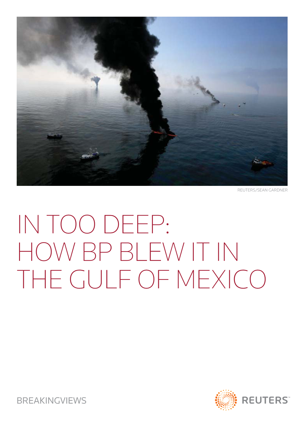 In Too Deep: How Bp Blew It in the Gulf of Mexico