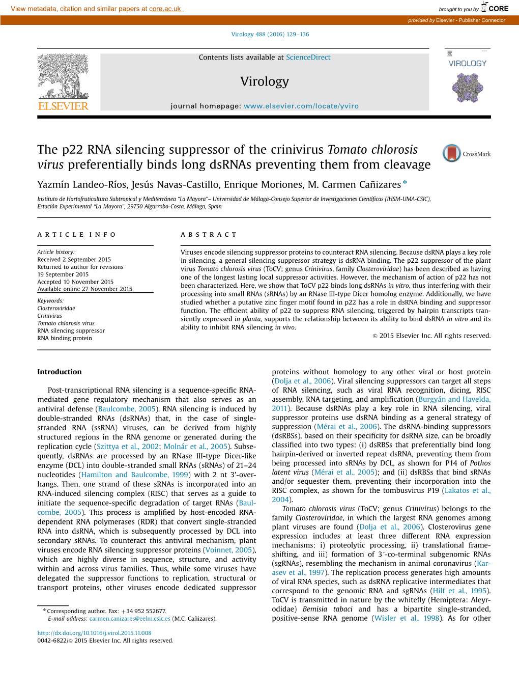 The P22 RNA Silencing Suppressor of the Crinivirus Tomato Chlorosis Virus Preferentially Binds Long Dsrnas Preventing Them from Cleavage