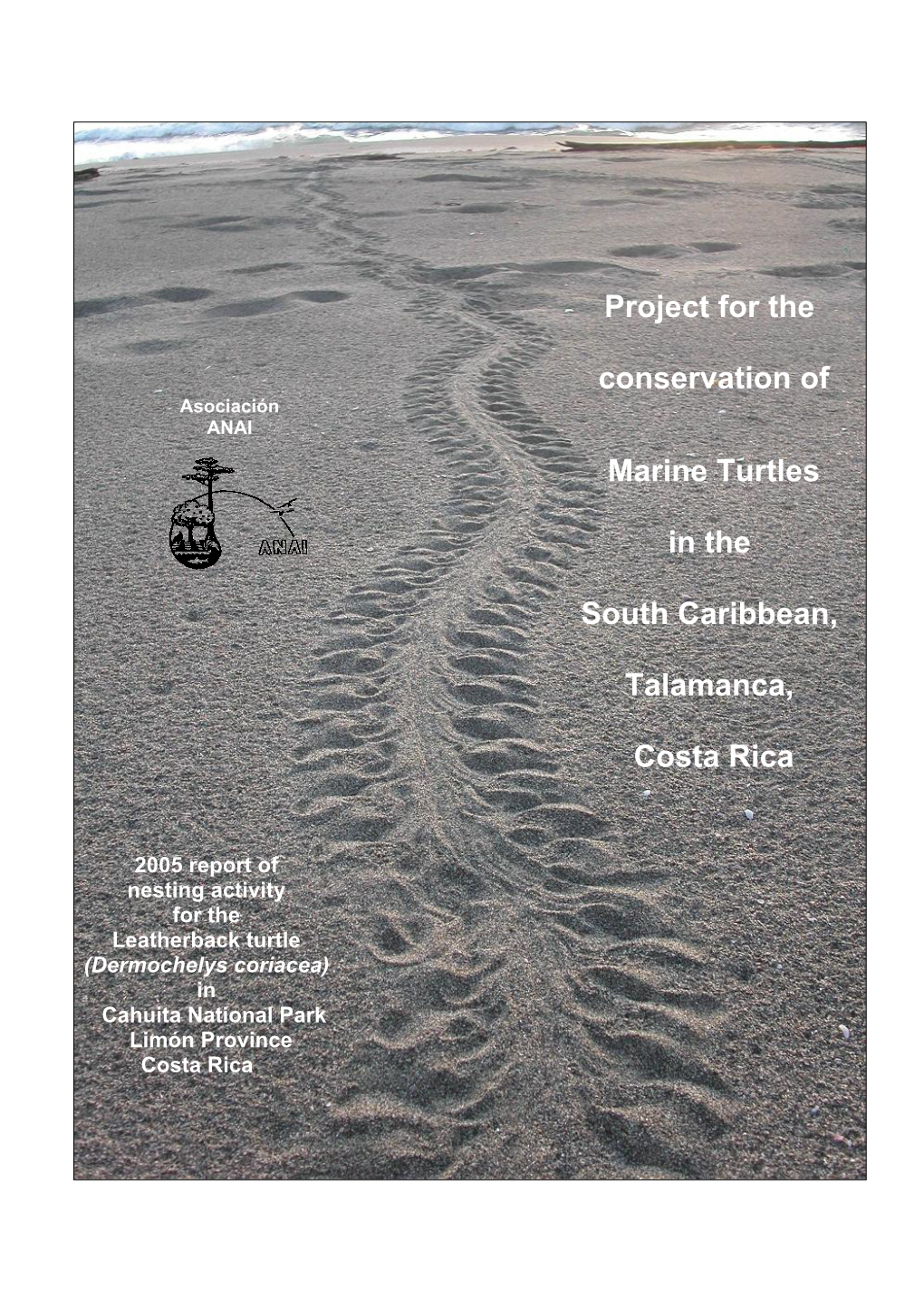 Project for the Conservation of Marine Turtles in the South Caribbean, Talamanca, Costa Rica