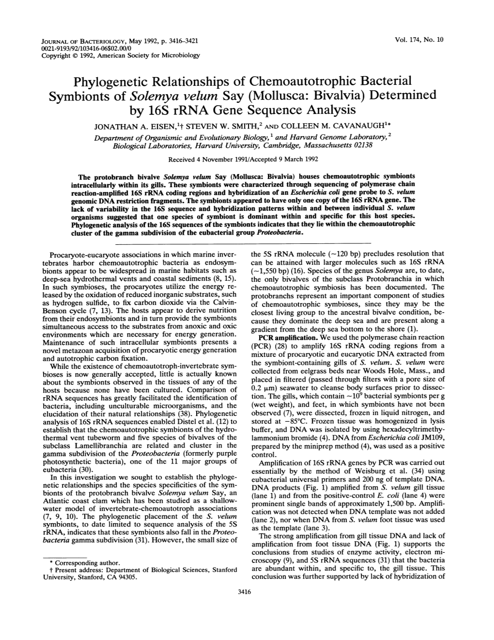 Phylogenetic Relationships of Chemoautotrophic Bacterial Symbionts of Solemya Velum Say (Mollusca: Bivalvia) Determined by 16S Rrna Gene Sequence Analysis JONATHAN A