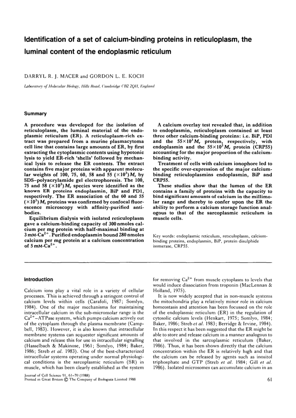 Identification of a Set of Calcium-Binding Proteins in Reticuloplasm, the Luminal Content of the Endoplasmic Reticulum