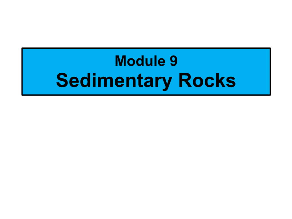 Module 9 Sedimentary Rocks SEDIMENTARY ROCKS