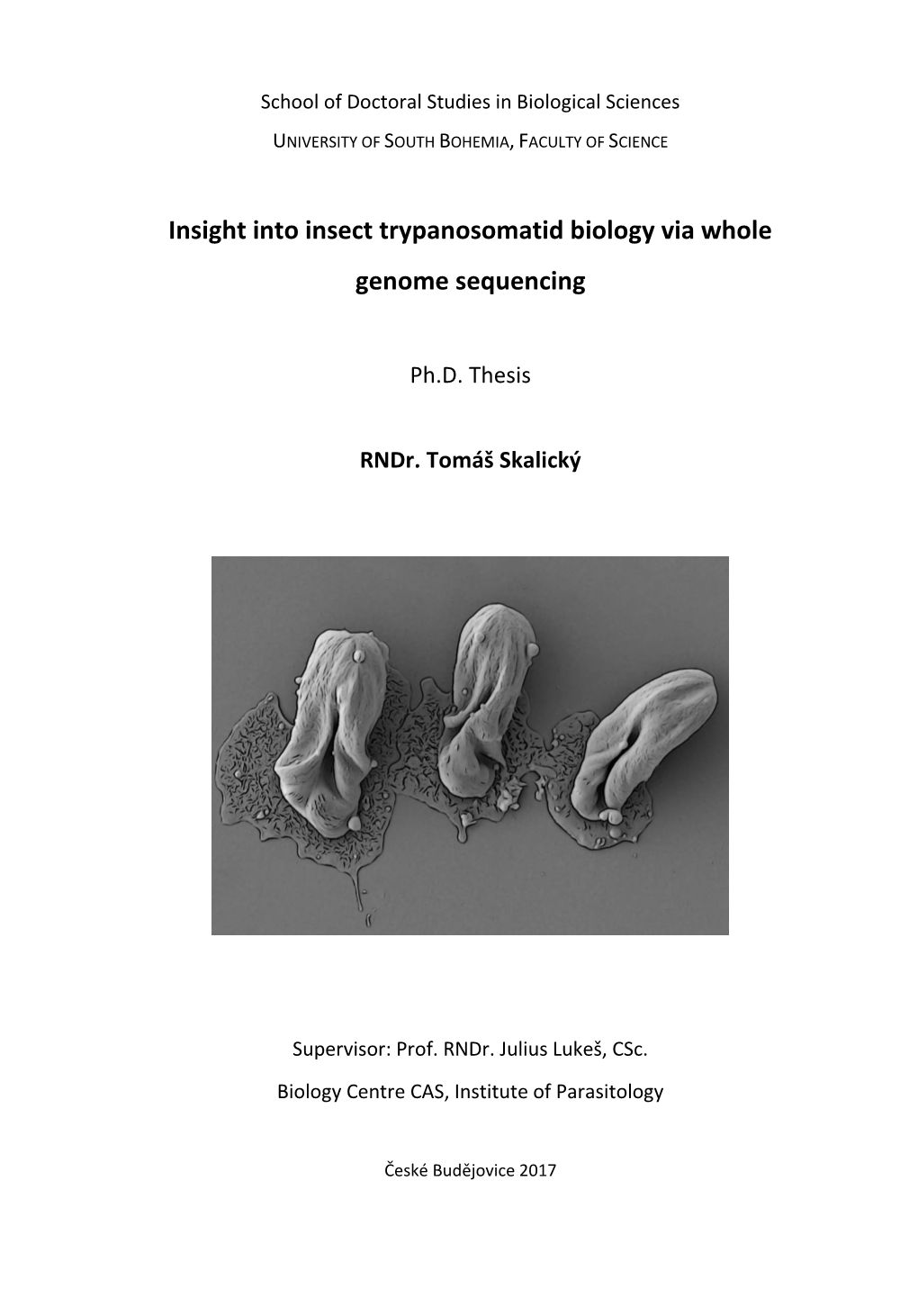 Insight Into Insect Trypanosomatid Biology Via Whole Genome Sequencing