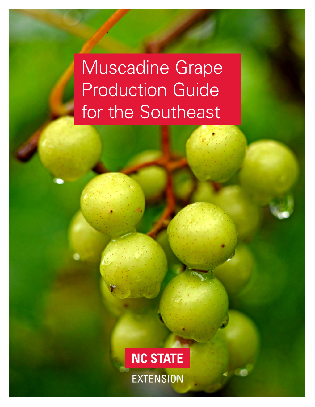 Muscadine Grape Production Guide for the Southeast