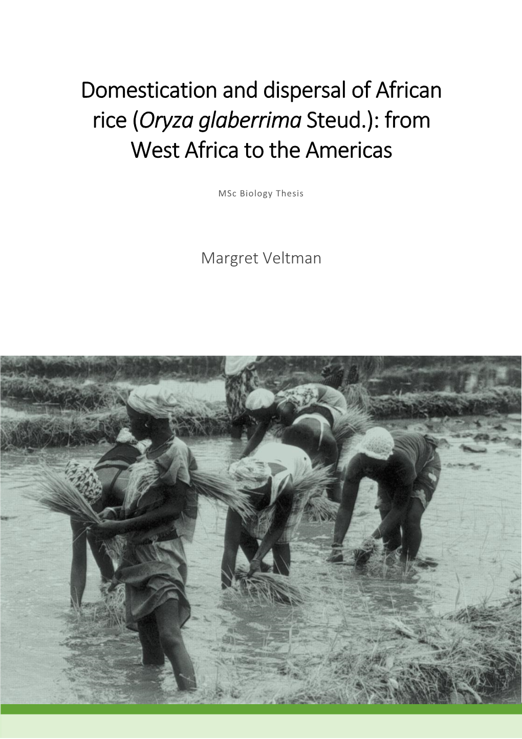 Domestication and Dispersal of African Rice (Oryza Glaberrima Steud.): from West Africa to the Americas