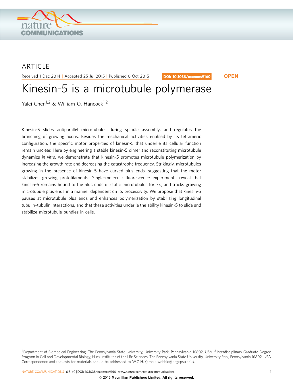 Kinesin-5 Is a Microtubule Polymerase